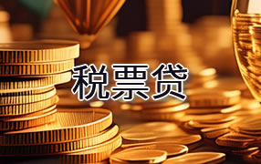 钦州税票贷